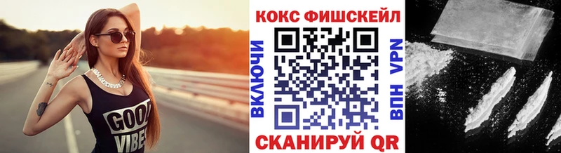 Cocaine Fish Scale  Купить закладки  Шумерля 