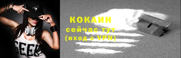 винт Горняк