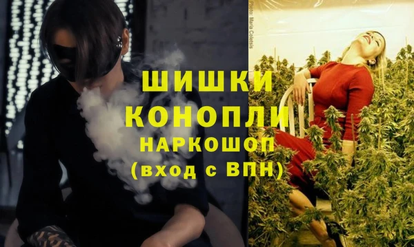 винт Горняк